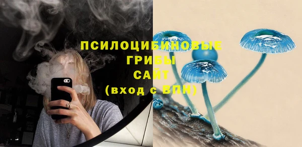 СК Абаза