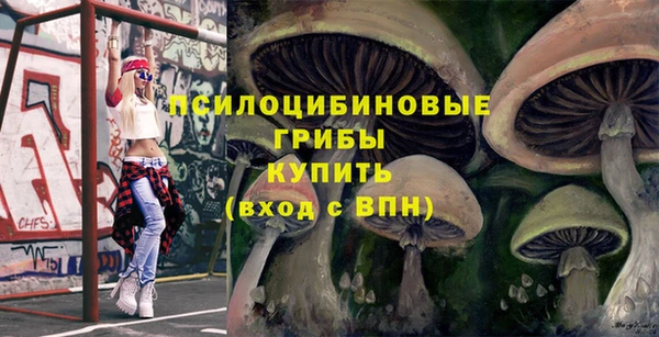 тгк Абинск