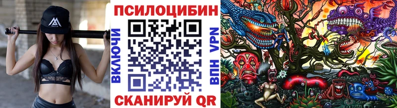 Псилоцибиновые грибы MAGIC MUSHROOMS наркотики Нальчик